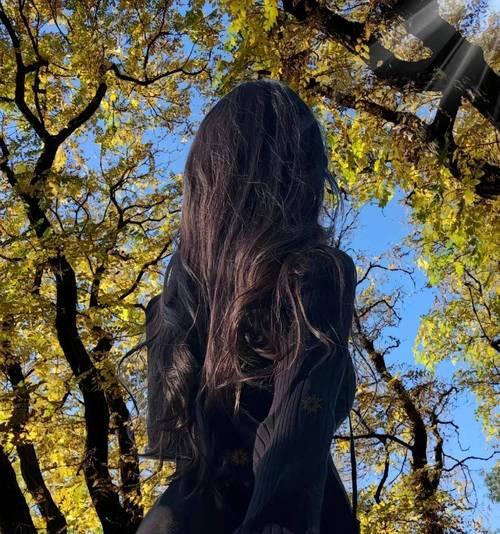广角镜头如何用于手机拍照？  第1张