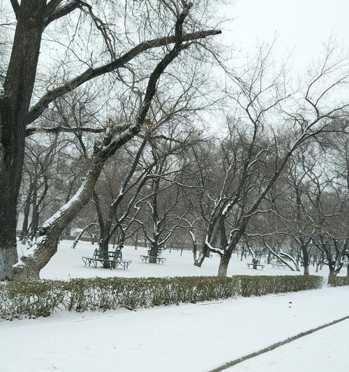 小米手机拍照片灰蒙蒙的怎么办？如何改善照片质量？  第2张