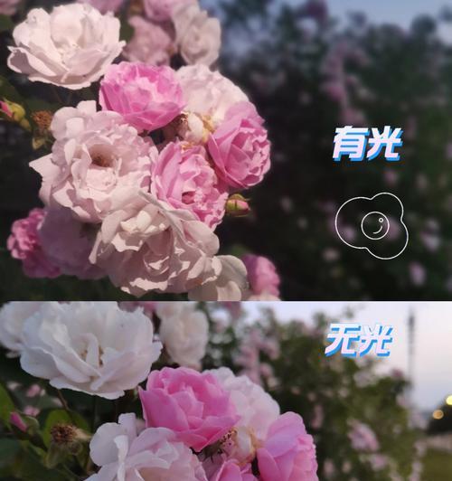 手机拍照爱心打光效果如何设置？  第3张