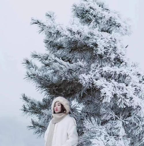 雪地拍摄手机摄影的设置技巧有哪些？  第2张