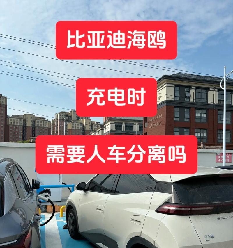 比亚迪海鸥充电器原装线规格是多少？  第1张