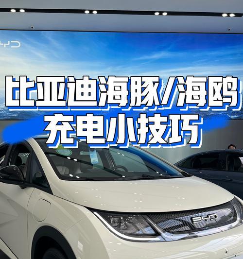 比亚迪海鸥充电器原装线规格是多少？  第3张