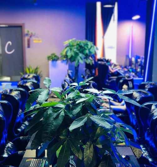 电竞机房服务器开启步骤是什么？  第2张