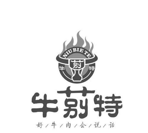 特能充电器的商标是什么？如何识别正品？  第2张