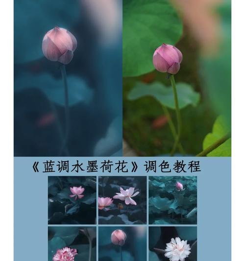 索尼相机出片时调色参数如何设置？调色参数对照片有何影响？  第3张