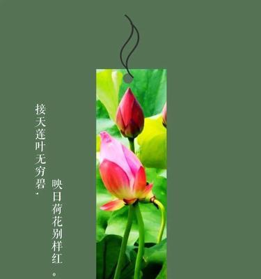 如何在苹果手机桌面设置书签？设置书签的好处是什么？  第3张