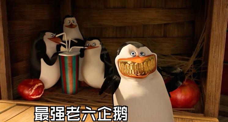 企鹅看电视机有什么特点？  第1张