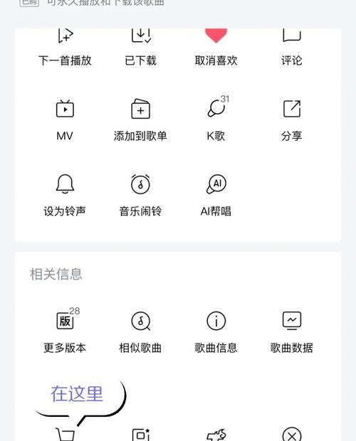 苹果蓝牙音乐如何分开播放？需要设置什么？  第1张