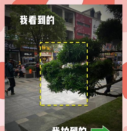 极影相机如何拍摄慢镜头？拍摄技巧有哪些？  第3张