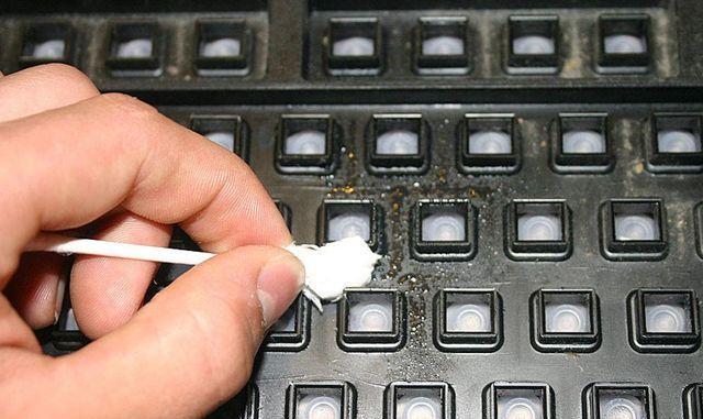 键盘里为什么有油渍？如何清理键盘内部的油渍？  第1张