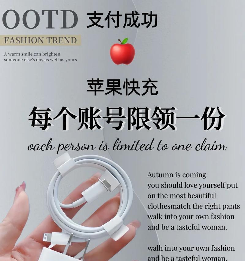 苹果十快速充电器怎么用？使用方法和注意事项是什么？  第1张