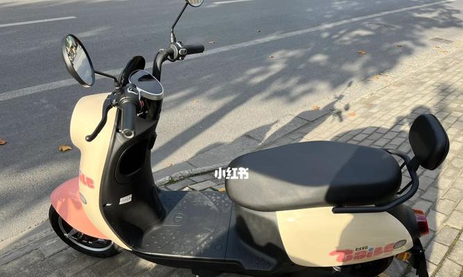 台铃萌苏显示屏的类型是什么？  第3张