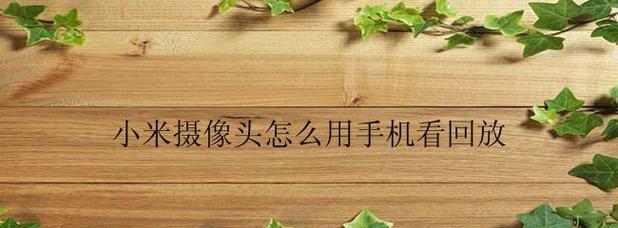 小米13摄像头放大功能如何启用？设置步骤是什么？  第1张