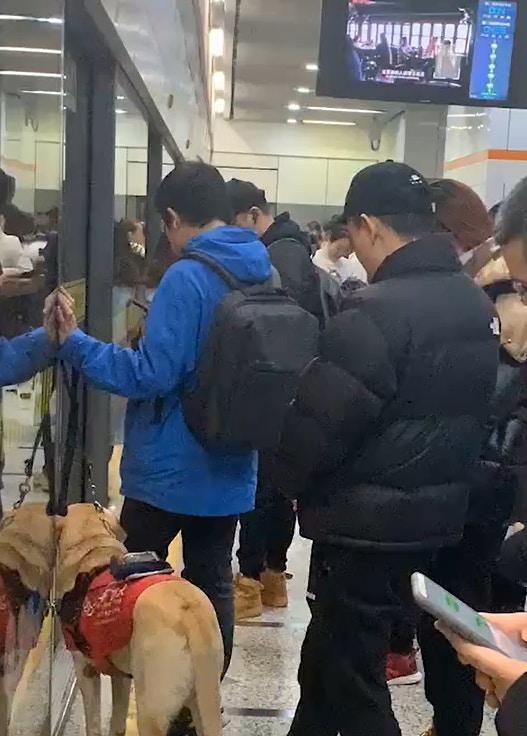 盲人看路手机软件是什么？如何帮助视障人士？  第2张