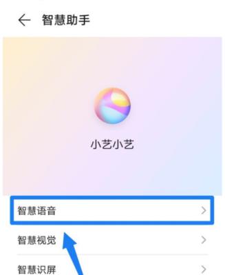 苹果电脑语音唤醒功能如何设置？  第1张